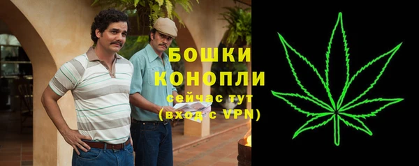 PSILOCYBIN Армянск
