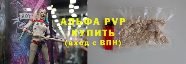 прущие грибы Арсеньев