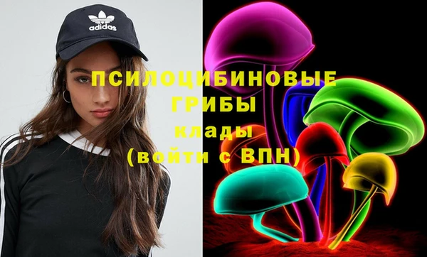 прущие грибы Арсеньев