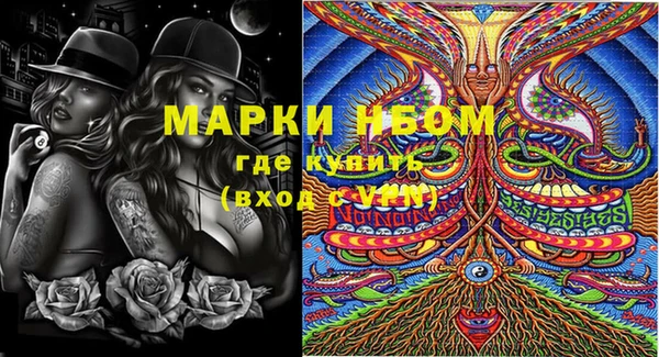 PSILOCYBIN Армянск