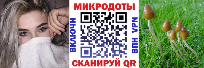 Купить  Сычёвка  Псилоцибиновые грибы прущие грибы 