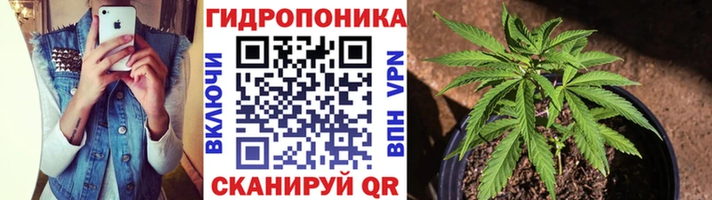 Бошки Шишки сатива  Купить закладки  Сычёвка 